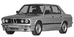 BMW E28 P0A9B Fault Code